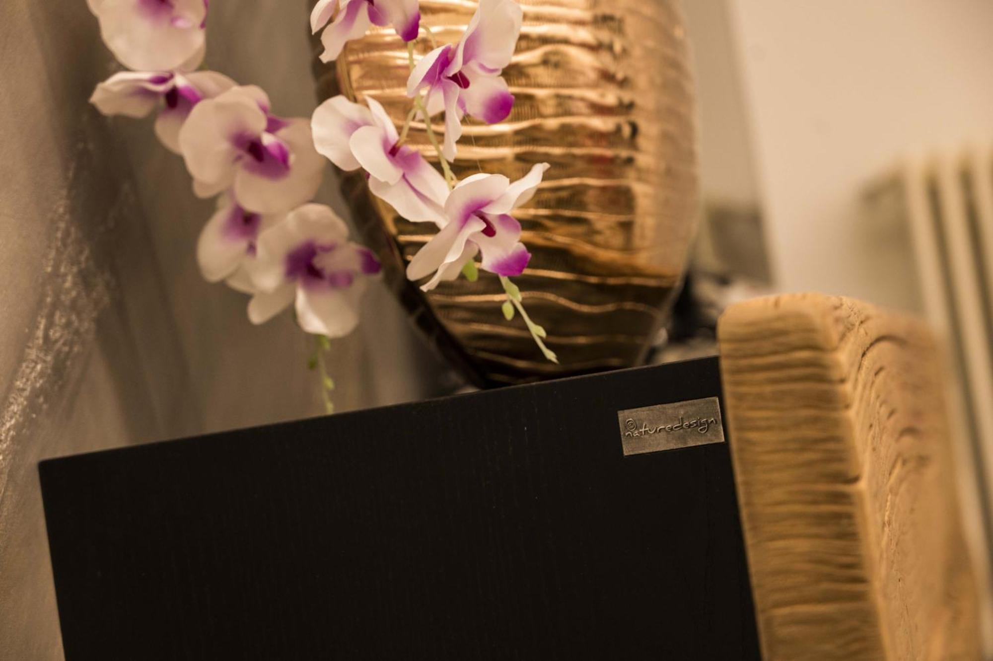 Panvinio 25 Apartment - Royal Welcome 维罗纳 外观 照片